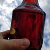 Maple Syrup