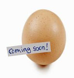 Coming Soon!